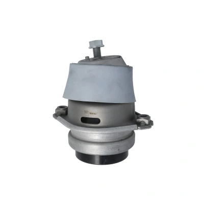 Immagine di REINHOCH RH11 3147 Supporto motore Sx idraulico PORSCHE: Cayenne
