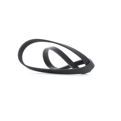 Immagine di GATES 6PK1130 Cinghia Poly V 1130 6 Poliestere, EPDM (Etilene Propilene Diene Caucciù) RoadMax Value Line RENAULT: CLIO 4, 3, 2