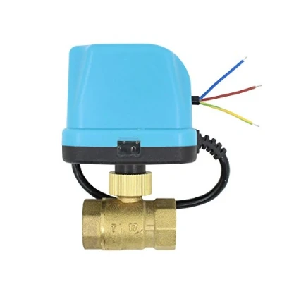 Immagine di OemClima DC 12v valvole motorizzate 2 Vie 1/2 3/4 1 1/4 Pollice elettrovalvola Acqua (DN20 (3/4&quot;))