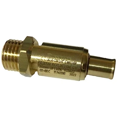 Immagine di 4101064 Valvola di sicurezza per aria compressa 1 pz.