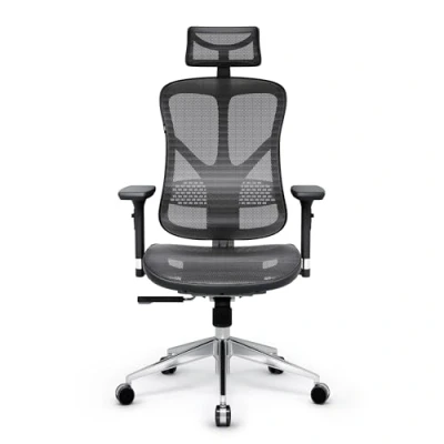 Immagine di DIABLO V Basic Sedia da ufficio Ergonomica Girevole con Supporto Lombare Integrato Braccioli 3D Poggiatesta Regolabile Funzione Dondolo Altezza (Nero Grigio)