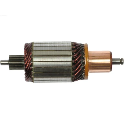 Immagine di AS PL SA0065 Ancorina, Starter