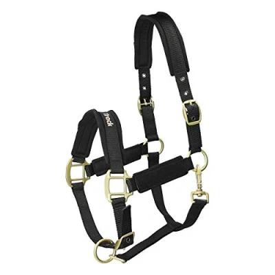 Immagine di Back on Track Werano Halter