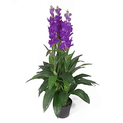 Immagine di Leaf Design UK Orchidea artificiale, 100 cm, colore: rosa