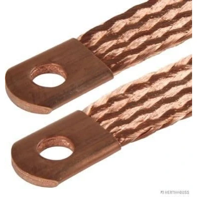 Immagine di HERTH+BUSS ELPARTS 52287005 Treccia di massa