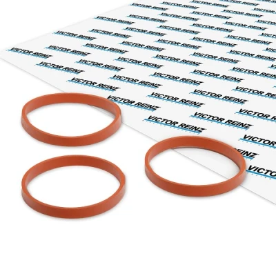 Immagine di REINZ 11 11551 01 Kit guarnizioni, Collettore aspirazione CITROËN: C3 II, DS3 Hatchback, PEUGEOT: 208 I Hatchback