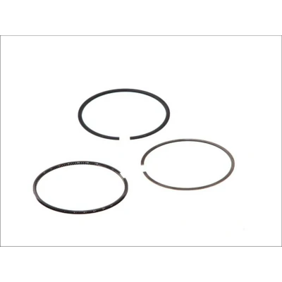 Immagine di GOETZE ENGINE 08 139600 00 Kit Fasce Elastiche 84,5