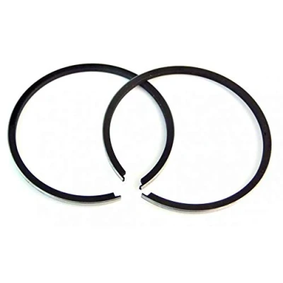 Immagine di Segmento Polini Ø 55 x 1,5 mm 206.0030