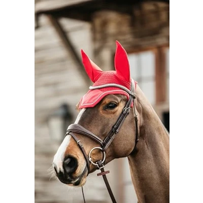 Immagine di Kentucky Earnet Wellington Velvet