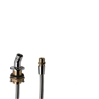 Immagine di hansgrohe 28307000 Supporto Doccia per Bordo Vasca, Argento