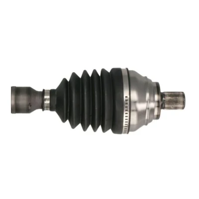 Immagine di Albero motore/Semiasse PASCAL G2S021PC