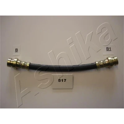 Immagine di Supporto, Flessibile freno ASHIKA 69 05 517