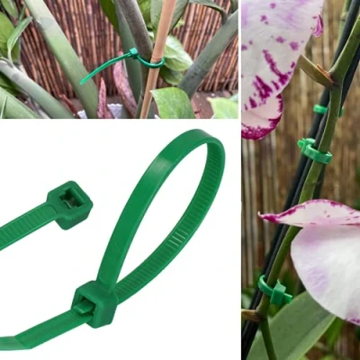 Immagine di GARDENIX Fascette per piante, 100 pezzi (4,8 mm x 200 mm, verde) riutilizzabili, regolabili