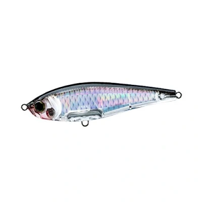 Immagine di Yo Zuri 3D Inshore Twitchbait Slow Sinking Lure, Argento Nero, 90 mm/3 1/5,1 cm