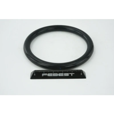 Immagine di FEBEST RINGAH 009 Guarnizione Collettore Aspirazione Entrata RENAULT: MEGANE 2, Kangoo I, CLIO DACIA: Duster SUV, II