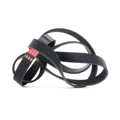 Immagine di GATES 6PK1685 Cinghia Poly V 1685 6 Poliestere, EPDM (Etilene Propilene Diene Caucciù) RoadMax Value Line FORD: FIESTA 5, S Max Mk1, 4