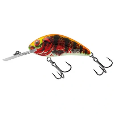 Immagine di Salmo Rattlin Hornet 3,5cm Holo Red Perch Esche artificiali minnow