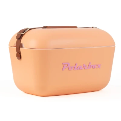 Immagine di Polarbox Borsa frigo classica, stile retrò, vintage, campeggio, picnic, spiaggia, 20 l, nude/marron