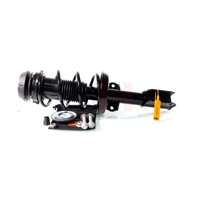 Immagine di GH 353639C02 Ammortizzatore a molla Assale anteriore, Dx, Sx, anteriore Sx