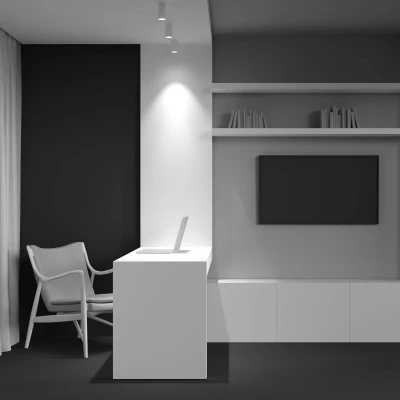 Immagine di MAYTONI Moderno Faretto da Soffitto Bianco, Cilindrico, Spot a Superficie, in Alluminio, per 1 lampadina GU10 non incl.