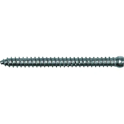 Immagine di Fischer 532916 Vite speciale per installazione di serramenti 7.5 mm 182 Interno Esagonale rotondo, multidentato, TX, Torx, Impronta T Acciaio