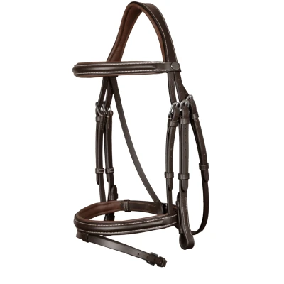 Immagine di Dyon bridle Flash