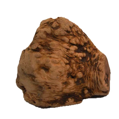 Immagine di Chewies, radice di masticazione, L, Confezione da 1 Circa 350 g