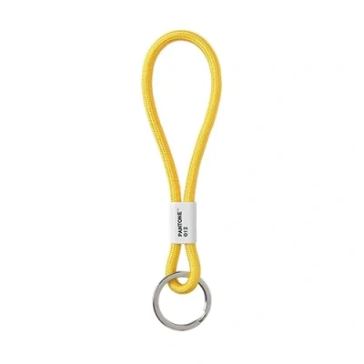Immagine di PANTONE key Chain S, short hanger, nylon, Yellow 012 C