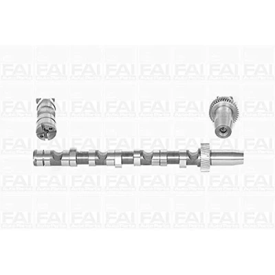 Immagine di FAI AutoParts C245 Albero a Camme per cilindro 4 6 AUDI: A4 B6 Avant, A6 C5 Avant