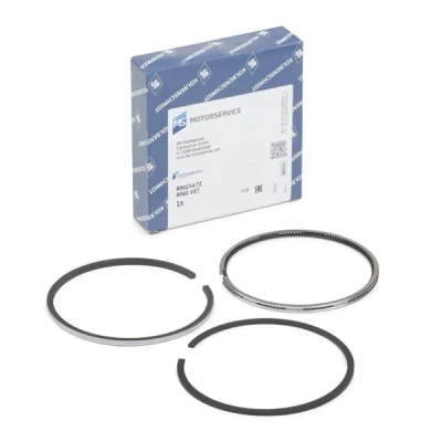 Immagine di KOLBENSCHMIDT 800018411010 Kit Fasce Elastiche 91