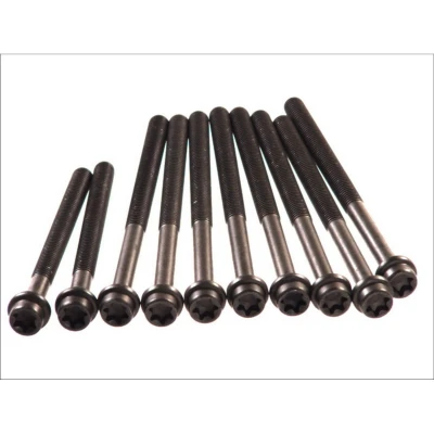 Immagine di ELRING 027.850 Kit Bulloni Testata Torx interno FORD: Focus Mk1 Hatchback, 2 Kombi,
