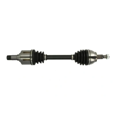 Immagine di Albero motore/Semiasse PASCAL G2M008PC