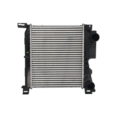 Immagine di THERMOTEC DAY001TT Intercooler