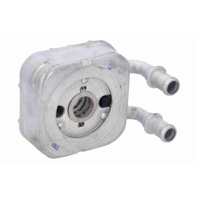 Immagine di VEMO V24 60 0064 Radiatore Olio con guarnizione FIAT: Punto II Hatchback, Stilo Multi Wagon