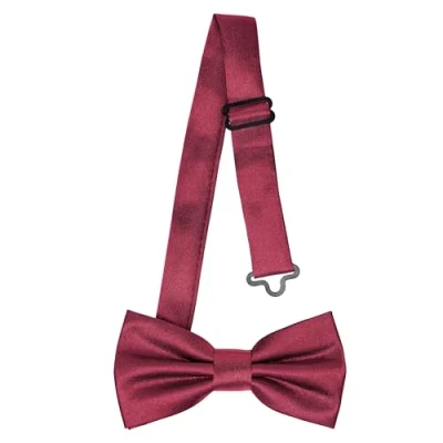 Immagine di Ladeheid Papillon per bambini maschi Pre legato, banda regolabile, design lucido, ideale matrimoni, compleanni, inizio scuola Resistente e stiloso BKS (10cm x 5cm, Beige)