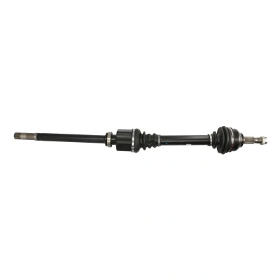 Immagine di Albero di trasmissione POINT GEAR PNG72885 Destra