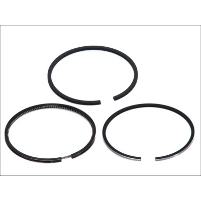 Immagine di KOLBENSCHMIDT 800027611000 Kit Fasce Elastiche 98,425
