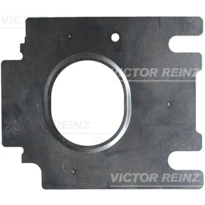 Immagine di REINZ 71 17630 00 Guarnizione Collettore Scarico Acciaio inossidabile