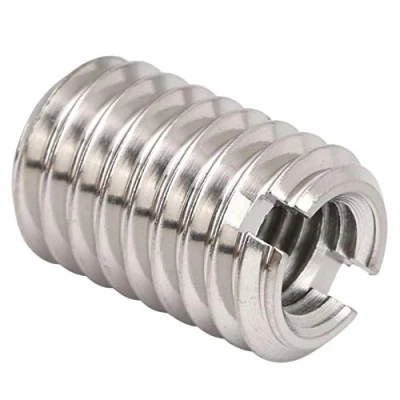 Immagine di 10Pcs Inserti Filettati, Dado di Riduzione della Filettatura, M5 x 0,8 mm Femmina M8 1,25 Maschio