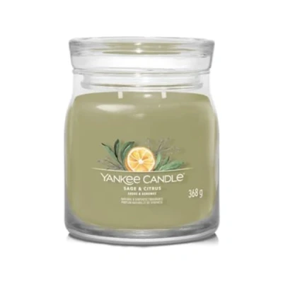 Immagine di Yankee Candle Medium with 2 wicks Sage &amp; Citrus 11 cm / ø 9