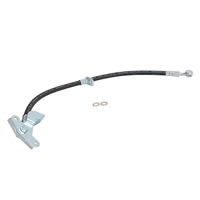 Immagine di DELPHI LH6682 Tubi Freno 522 Banjo