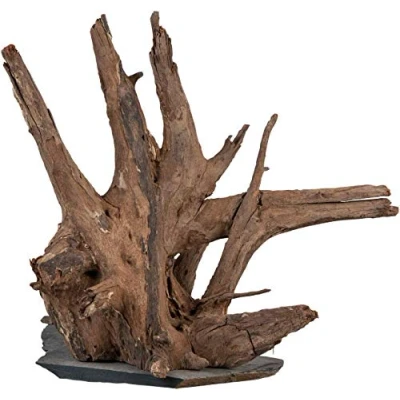 Immagine di sera Scaper Wood M 18 20 cm Radica compatta su Piastra in Ardesia Due Misure