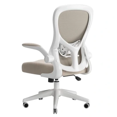 Immagine di Hbada J3 Sedia ergonomica da scrivania, per computer e ufficio, con braccioli sollevabili supporto lombare, altezza regolabile, lega di acciaio, grigio