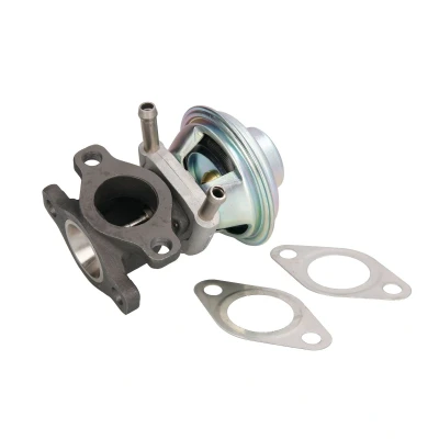 Immagine di DELPHI EG10476 12B1 Valvola EGR senza radiatore FIAT: Ducato III Van, Bus, Camion pianale / Telaio, IVECO: DAILY 4