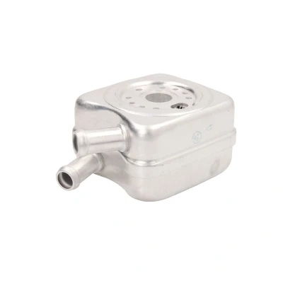 Immagine di THERMOTEC D4A009TT Radiatore Olio VOLKSWAGEN: Golf 4, 5, Passat B6 Variant, SEAT: Leon II Hatchback, Exeo ST, Alhambra I, AUDI: A4 B7 Avant