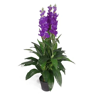 Immagine di LEAF 7243 Pianta artificiale Cymbidium Orchidea, 100 cm, colore: Viola