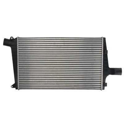 Immagine di Intercooler THERMOTEC DAA027TT