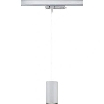 Immagine di Paulmann Kratos 96603 Lampada LED a sospensione (monocolore) 9 W Argento