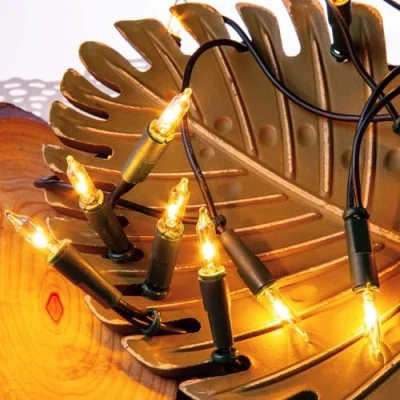 Immagine di Hellum luci fatate per interni, mini 20 lampadine di ricambio chiare calde, illuminate 2,85 m, cavo verde con spina Natale
