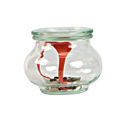 Immagine di Weck Decò Vasetto con Coperchio ∅ 100 mm, Completi di Guarnizione e Clips, Vetro, Trasparente, 1 litro/Capienza, Scatola da 4 Pezzi